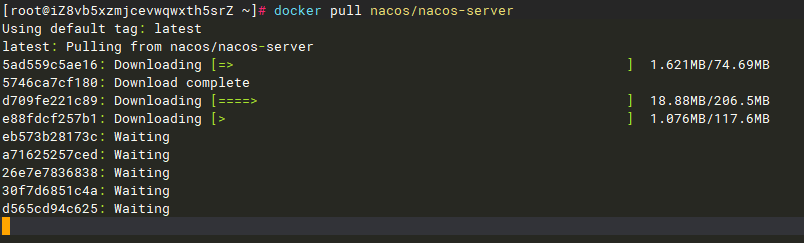 docker pull nacos/nacos-server